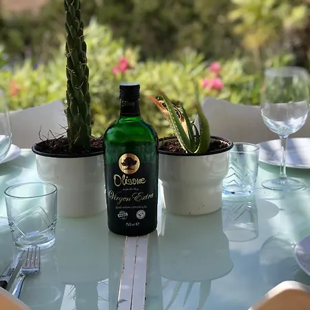 Micasa Ibiza Villa