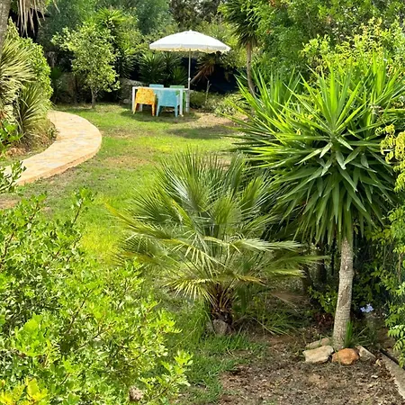 Villa Micasa Ibiza San Antonio (Ibiza)