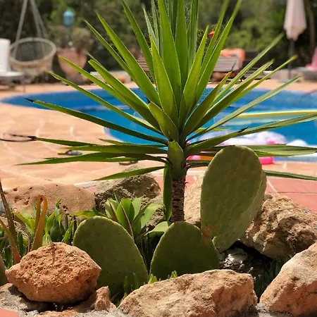 Micasa Ibiza Villa *